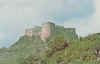 Carrib-7405-08.jpg (88699 bytes)