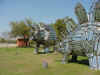 DFW-20020403-1322c.JPG (64662 bytes)