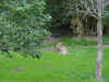 DFW-20020404-1414.JPG (85679 bytes)