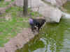DFW-20020404-1419.JPG (88448 bytes)