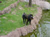 DFW-20020404-1420a.JPG (69752 bytes)