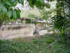 DFW-20020404-1434a.JPG (119691 bytes)