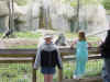 DFW-20020404-1437b.JPG (90342 bytes)