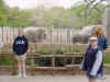 DFW-20020404-1451b.JPG (88608 bytes)