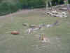 DFW-20020404-1534.JPG (62500 bytes)