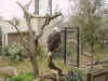 DFW-20020404-1710a.JPG (93027 bytes)
