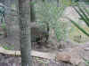 DFW-20020404-1710b.JPG (125937 bytes)