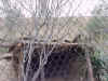 DFW-20020404-1711a.JPG (105679 bytes)