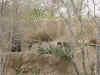 DFW-20020404-1712a.JPG (99256 bytes)