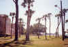 Florida-1991-Summer-09.jpg (93357 bytes)