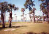 Florida-1991-Summer-11.jpg (122634 bytes)