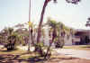 Florida-1991-Summer-12.jpg (95394 bytes)