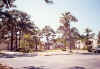 Florida-1991-Summer-16.jpg (97776 bytes)