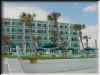 Florida-20020224-1146a.jpg (81605 bytes)