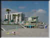 Florida-20020224-1146b.jpg (66698 bytes)