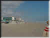 Florida-20020224-1149.jpg (40290 bytes)