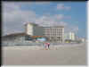Florida-20020224-1153.jpg (54554 bytes)