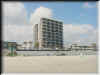 Florida-20020224-1205.jpg (53403 bytes)
