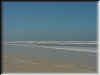 Florida-20020224-1207a.jpg (33949 bytes)