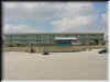 Florida-20020224-1207b.jpg (46516 bytes)