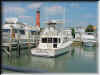 Florida-20020226-1307.jpg (78487 bytes)
