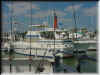 Florida-20020226-1308a.jpg (77500 bytes)