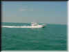Florida-20020226-1330a.jpg (50080 bytes)