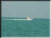 Florida-20020226-1331a.jpg (40138 bytes)