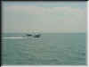 Florida-20020226-1331b.jpg (37312 bytes)