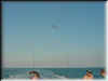 Florida-20020226-1651.jpg (27011 bytes)