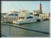 Florida-20020226-1722b.jpg (65496 bytes)