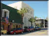 Florida-20020227-1500c.jpg (57329 bytes)