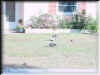 Florida-20020228-1558a.jpg (80655 bytes)