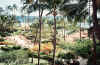 HI-8908-Maui-00.jpg (146655 bytes)