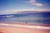 HI-8908-Maui-09.jpg (83423 bytes)