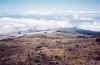 HI-8908-Maui-39.jpg (95610 bytes)