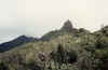 HI-8908-Oahu-09.jpg (81694 bytes)