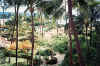 maui-20011001-b.jpg (139936 bytes)