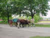Mich200206181237a.jpg (86122 bytes)