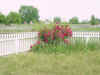 Mich200206181536.jpg (81487 bytes)