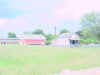 Mich200206181541.jpg (44109 bytes)