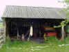 Mon-yelst-gt-20010614-1738b.jpg (84670 bytes)