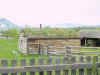 Mon-yelst-gt-20010614-1740.jpg (62408 bytes)