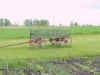 Mon-yelst-gt-20010614-1741b.jpg (69925 bytes)