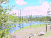 Mon-yelst-gt-20010615-1302a.jpg (76926 bytes)
