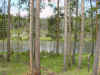 Mon-yelst-gt-20010615-1310b.jpg (105661 bytes)