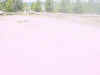 Mon-yelst-gt-20010615-1327.jpg (30794 bytes)