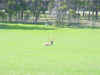 Mon-yelst-gt-20010615-1639.jpg (70134 bytes)