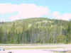 Mon-yelst-gt-20010615-1858a.jpg (65020 bytes)