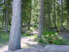 Mon-yelst-gt-20010615-1858b.jpg (102154 bytes)